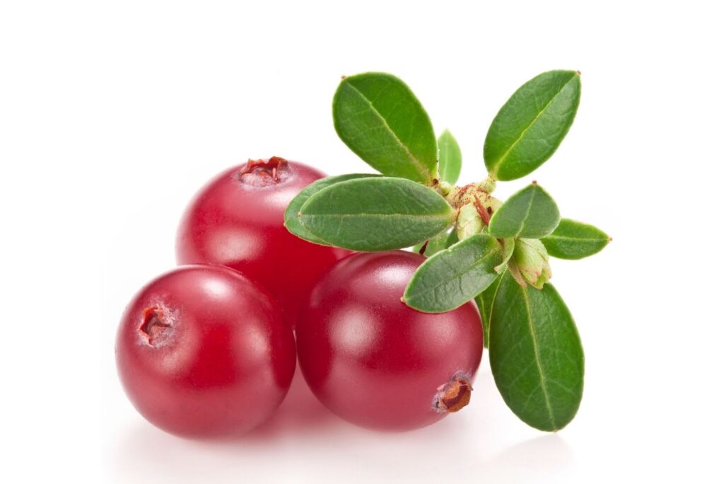 6 Natural Treatments for Enuresis (Bedwetting) - Cranberries Leaf