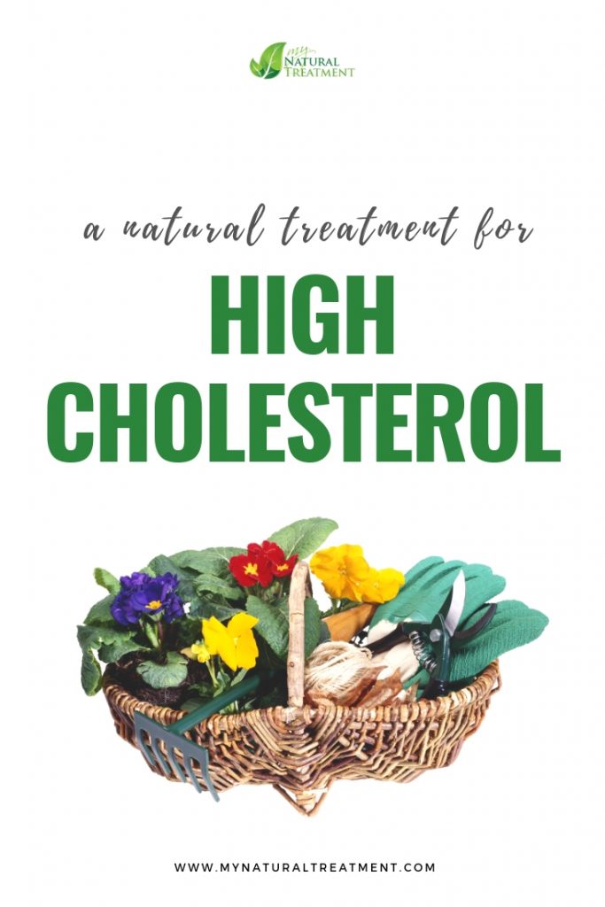 High Cholesterol Treatment with Natural Ingredients