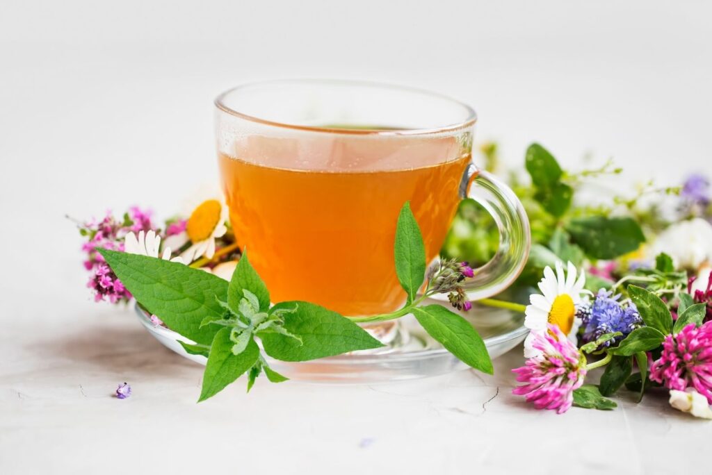 Home Remedy for Gastric Polyps – Comfrey Tea