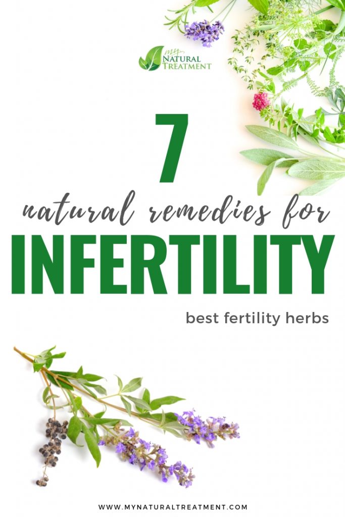 7 Natural Remedies for Infertility in Women