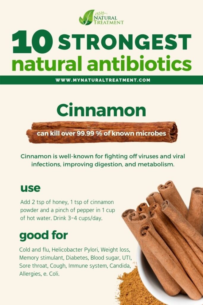 Strongest Natural Antibiotics - Cinnamon - MyNaturalTreatment.com