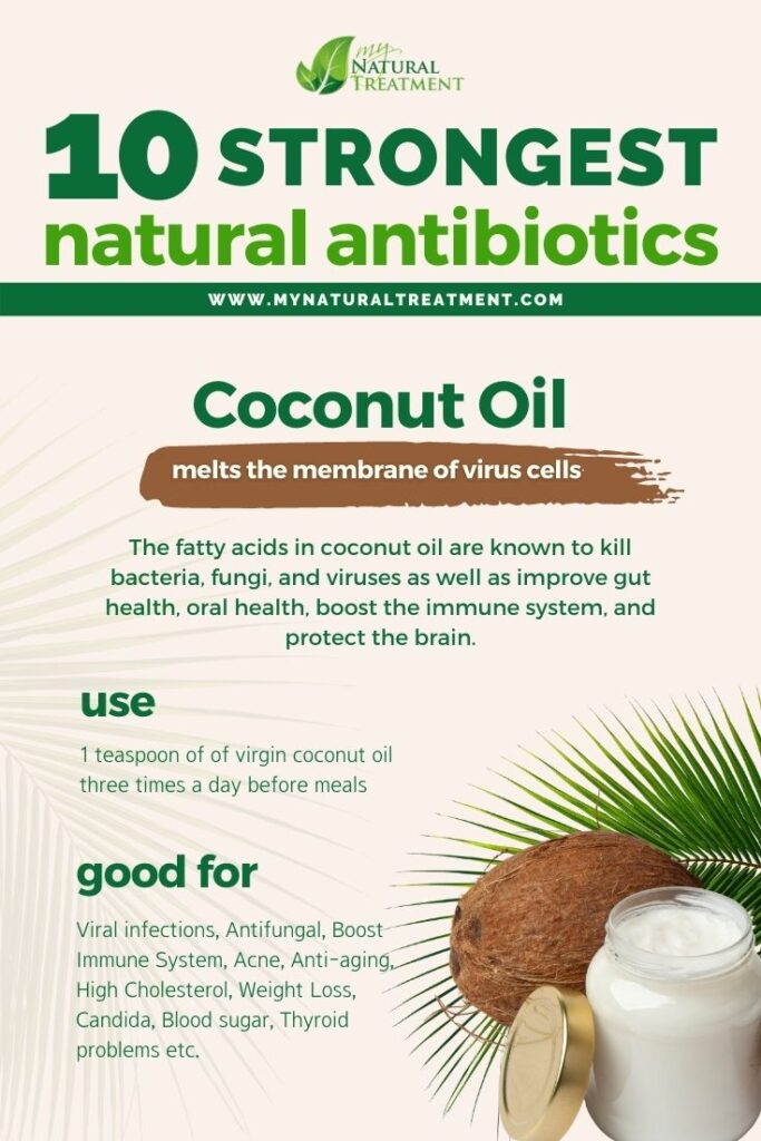 Strongest Natural Antibiotics - Coconut Oil - MyNaturalTreatment.com