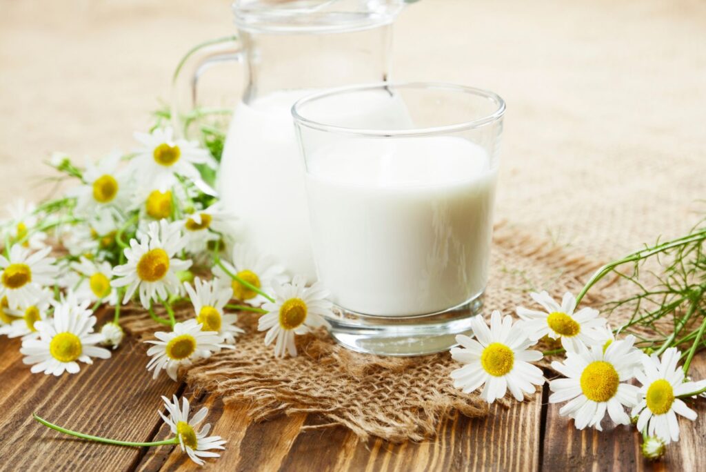 Chamomile Milk - What Is Chamomile Good For? Chamomile Uses, Benefits, Remedies - MyNaturalTreatment.com