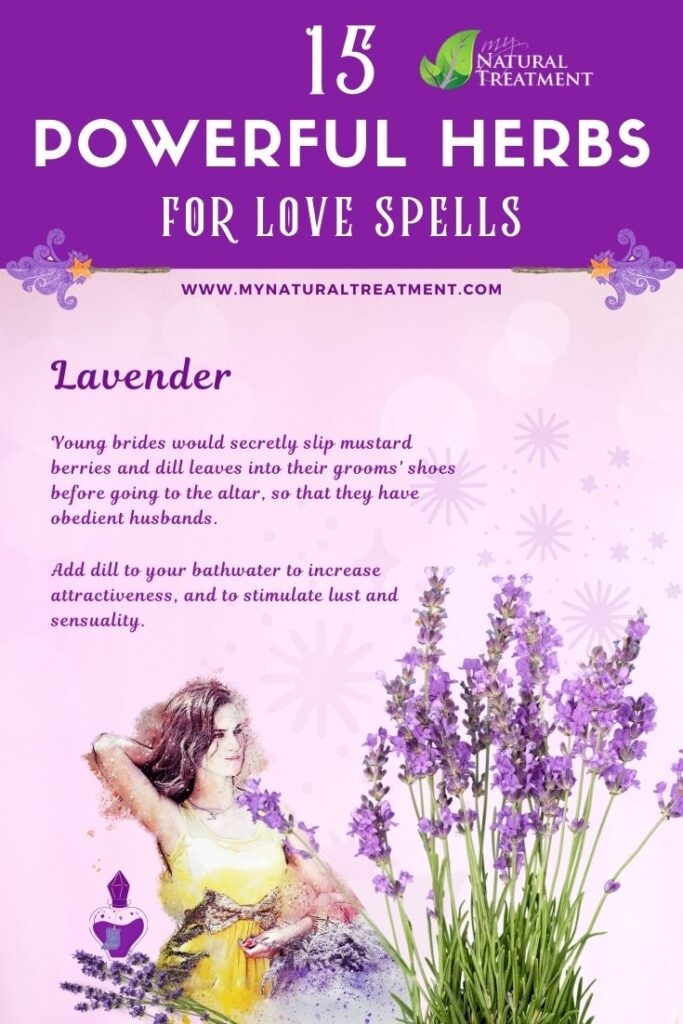 Lavender - Powerful Magic Herbs for Love Spells