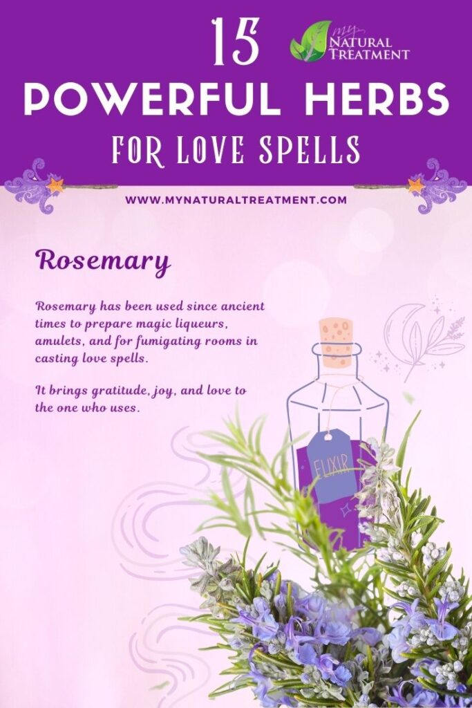 Rosemary - Powerful Magic Herbs for Love Spells
