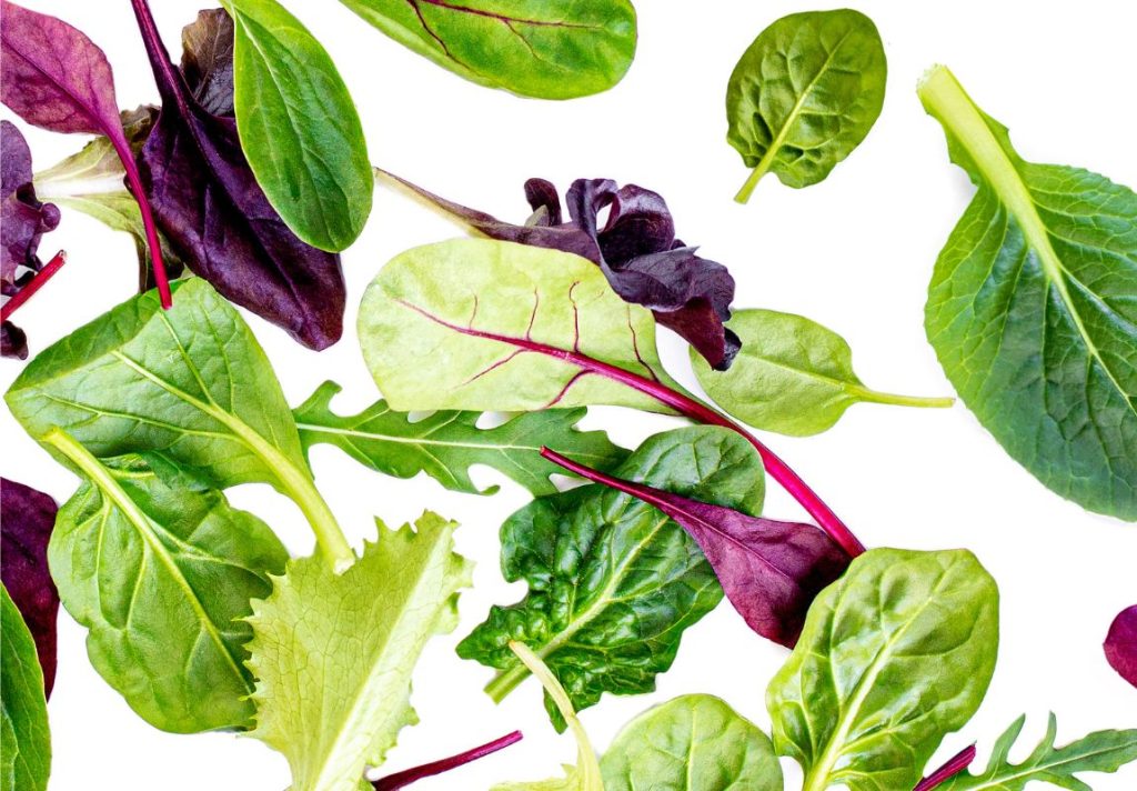 10 Best Natural Sources of Zinc 3 10 Best Natural Sources of Zinc