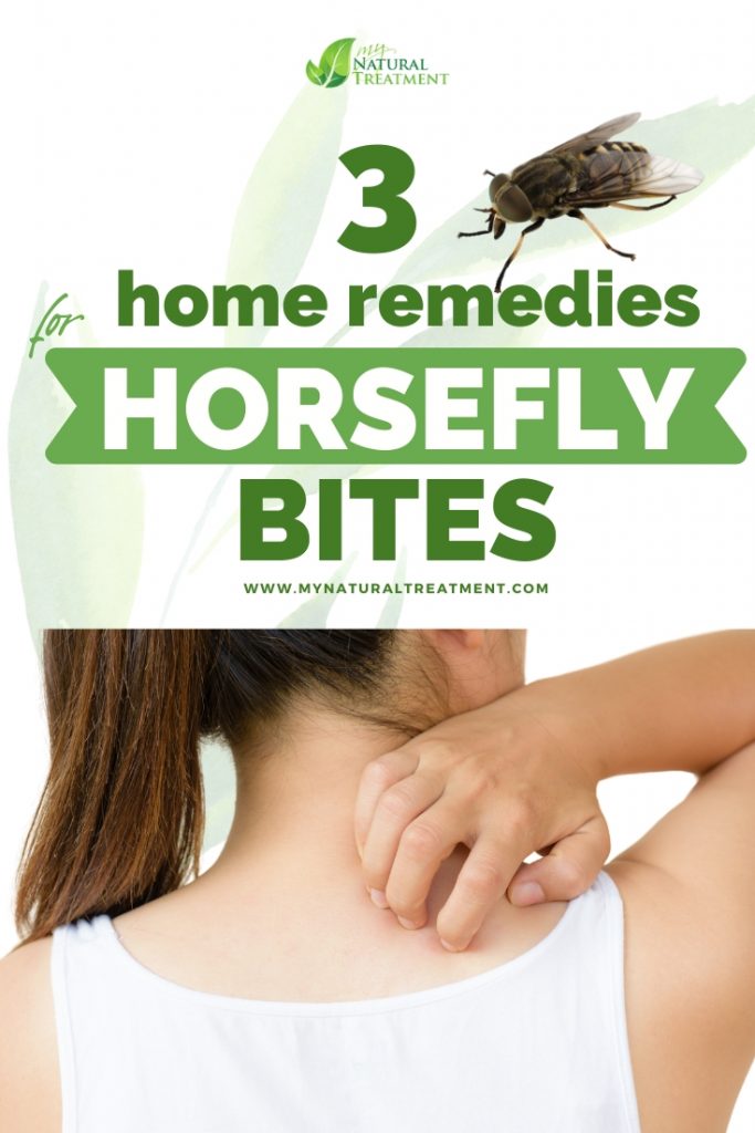 3 Home Remedies for Horsefly Bites