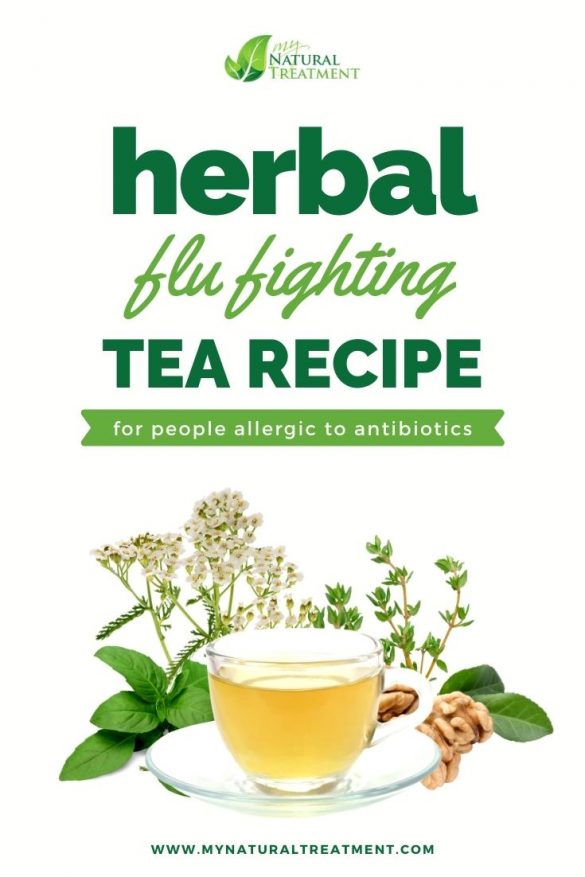 Powerful Herbal Flu-Fighting Tea Recipe with 5 Herbs