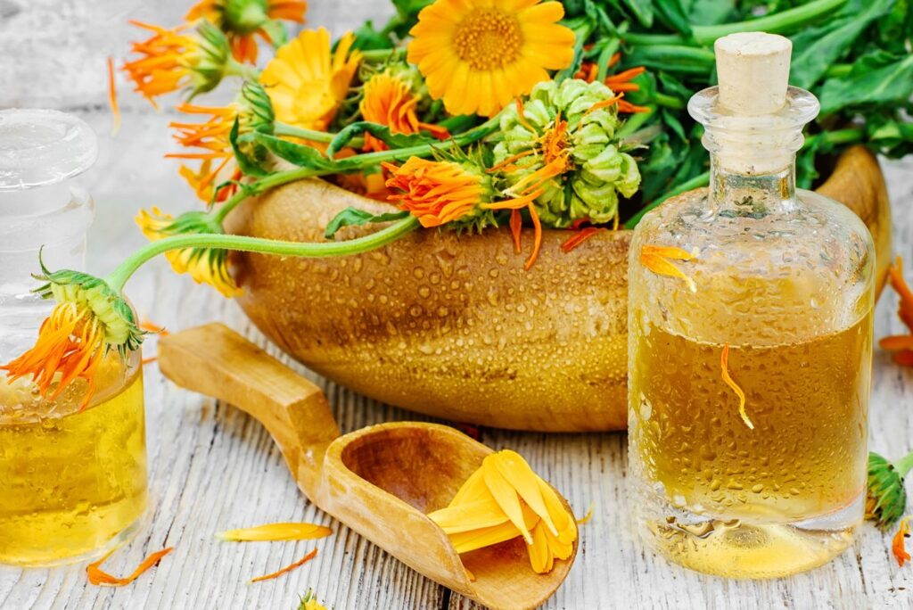 Calendula Marigold - How to Make Herbal Tinctures at Home with Recipes - MyNaturalTreatment.com