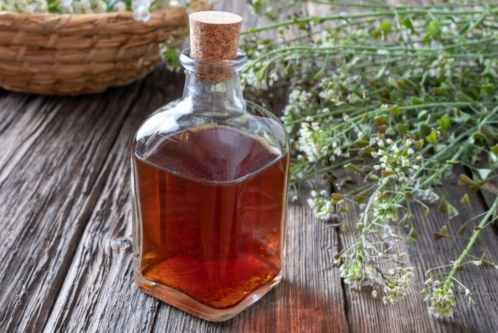 Shepherd's Purse - How to Make Herbal Tinctures at Home with Recipes - MyNaturalTreatment.com