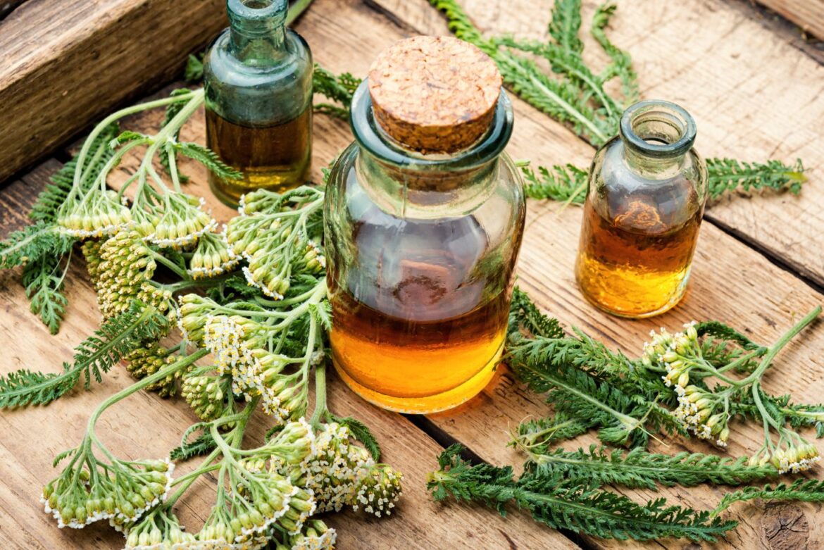 How to Make Herbal Tinctures at Home | 8 Amazing Tinctures