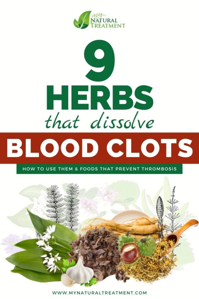 9 Herbs That Dissolve Blood Clots Naturally - MyNaturalTreatment.com