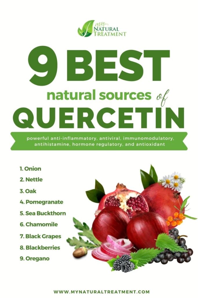 9 Best Natural Sources of Quercetin - MyNaturalTreatment.com