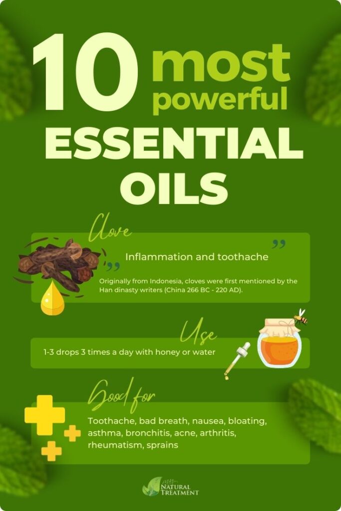 10 Most Powerful Essential Oils and Their Uses - Clove Oil - MyNaturalTreatment.com