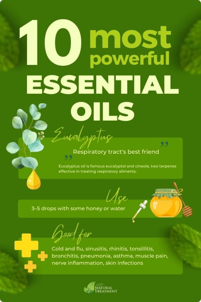 10 Most Powerful Essential Oils and Their Uses - Eucalyptus Oil - MyNaturalTreatment.com