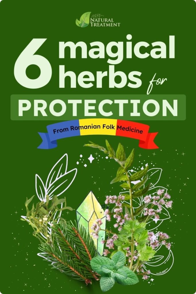 6 Magical Herbs for Protection from Romanian Folk Medicine - MyNaturalTreatment.com
