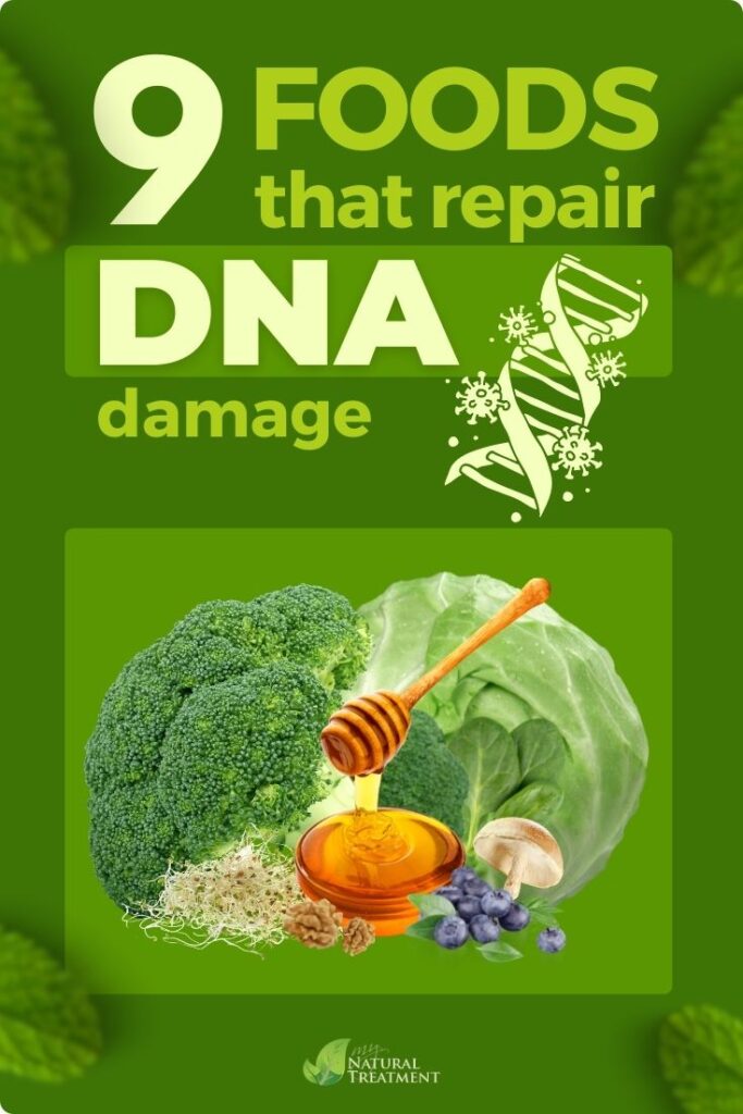 9 Foods That Repair DNA Damage