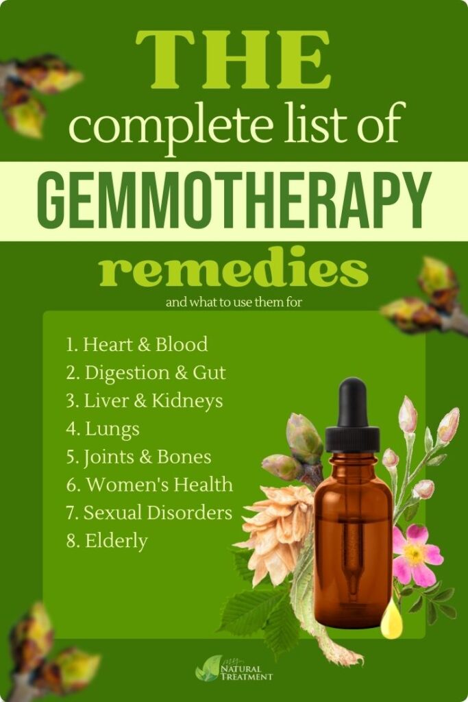 What Is Gemmotherapy Used For Complete List of Gemmotherapy Remedies MyNaturalTreatment.com 1