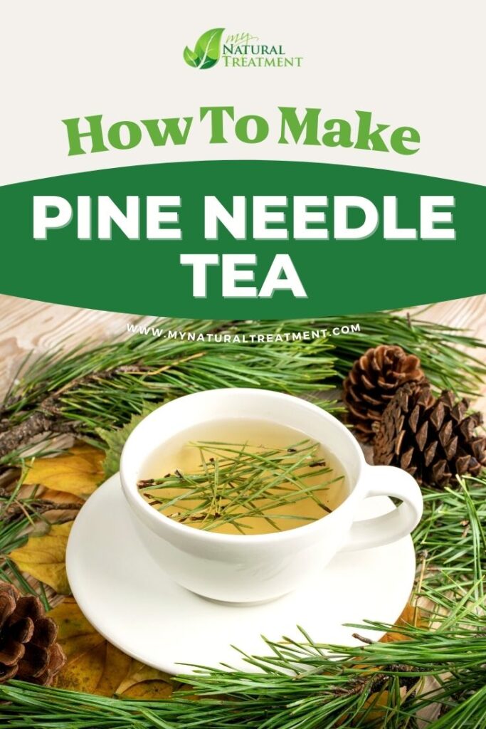 How to Make Pine Needle Tea - MyNaturalTreatment.com