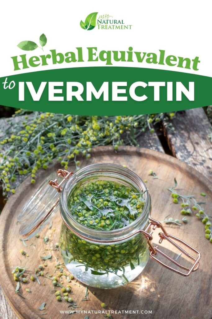 Herbal Equivalent to Ivermectin for Humans - MyNaturalTreatment.com