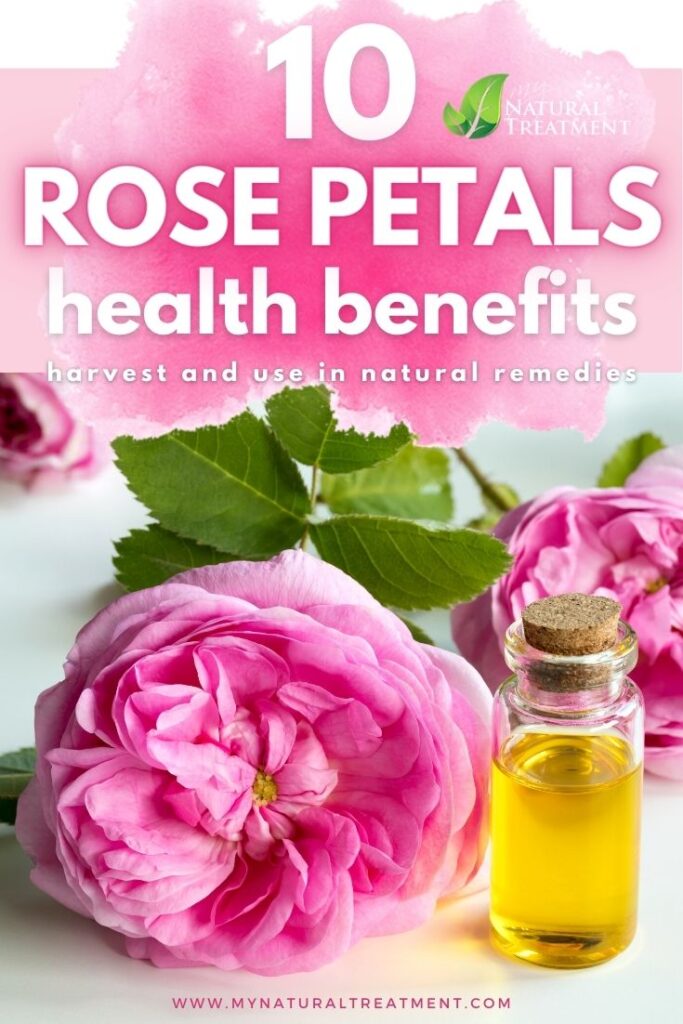 10 Rose Petals Benefits for Health with Remedies - MyNaturalTreatment.com
