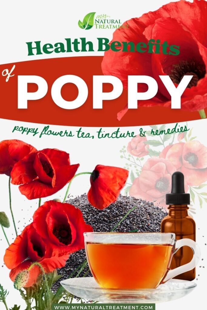 4 Health Benefits of Poppy And How to Use Them - Poppy Tincture - MyNaturalTreatment.com