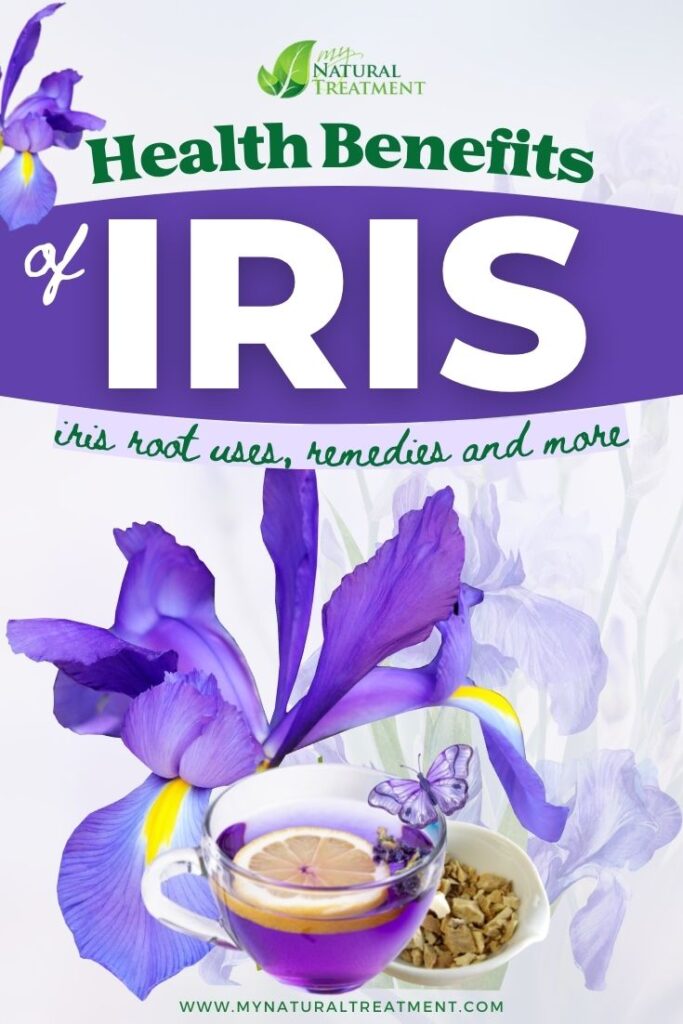 6 Iris Root Benefits, Natural Remedies and More - MyNaturalTreatment.com