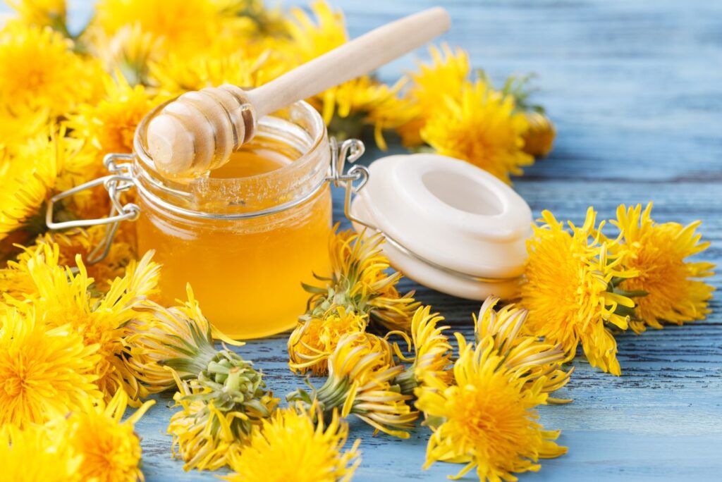 Dandelion Syrup - Healing Dandelion Recipes and How to Use at Home - Dandelion Uses - MyNaturalTreatment.com