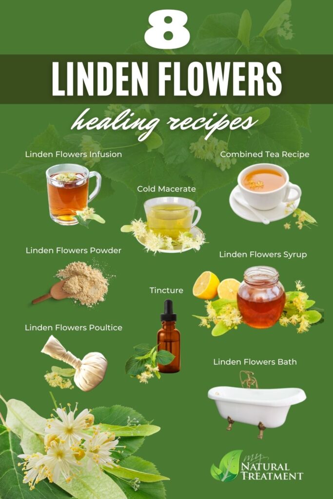 Linden Flowers Medicinal Recipes - Medicinal Recipes with Linden Flowers - MyNaturalTreatment