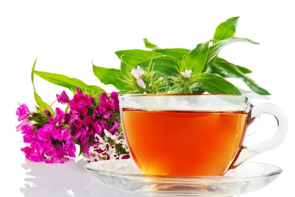 Health Benefits of Sweet William Flowers with Remedies - MyNaturalTreatment.com