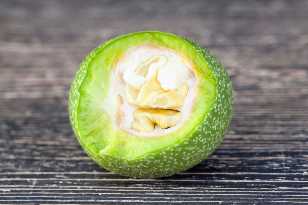 Green Walnut - Health Benefits of Green Walnuts & How to Use - MyNaturalTreatment.com