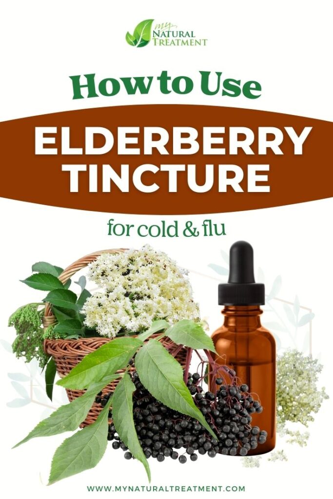 How to Use Elderberry Tincture for Flu and Cold - Elderberry Tincture Recipe - MyNaturalTreatment.com