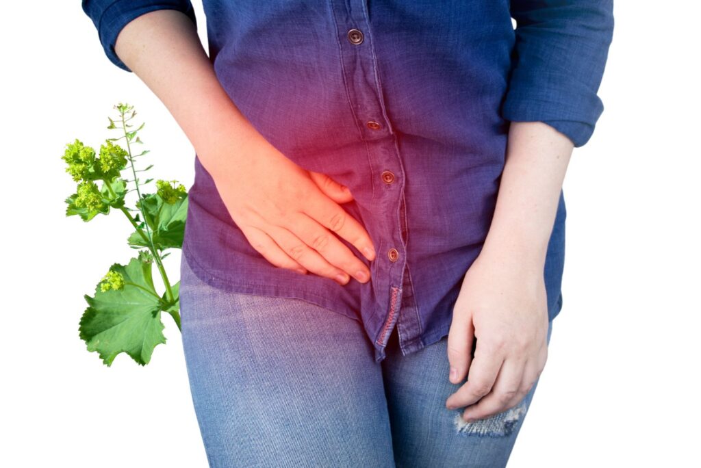 Powerful Natural Remedies for Hernia with Herbs - MyNaturalTreatment.com