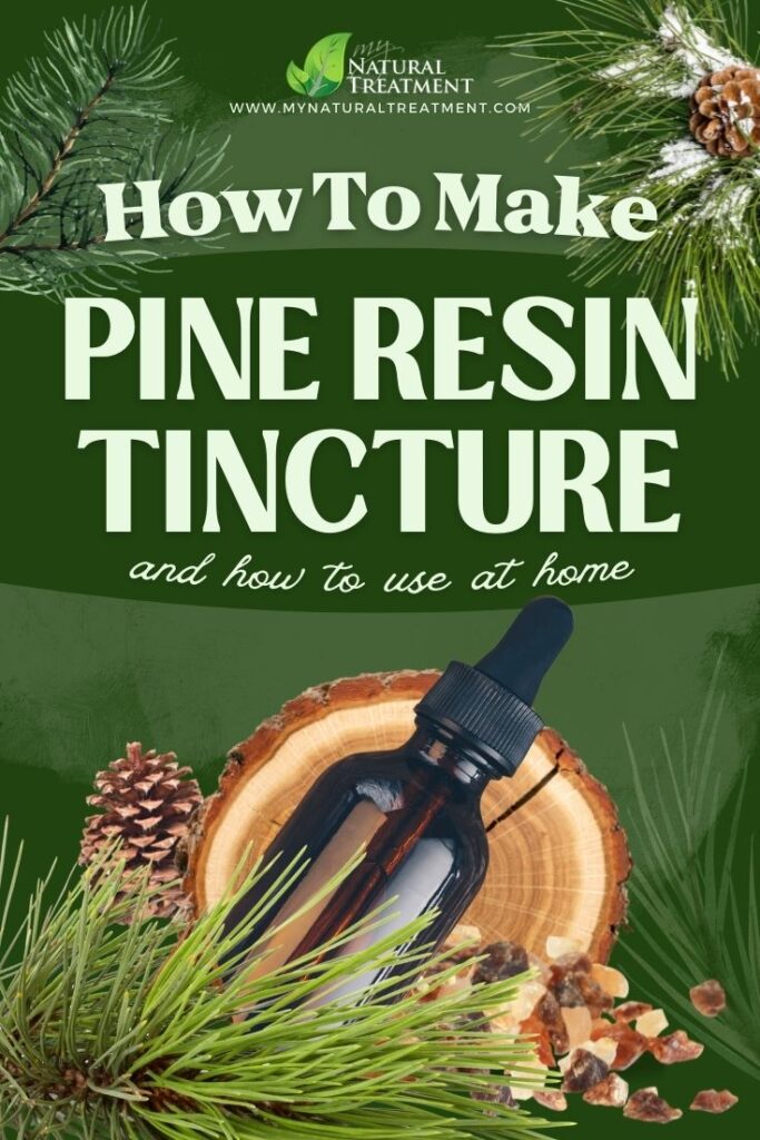 Pine Resin Tincture Recipe and How to Use - MyNaturalTreatment.com - MyNaturalTreatment.com
