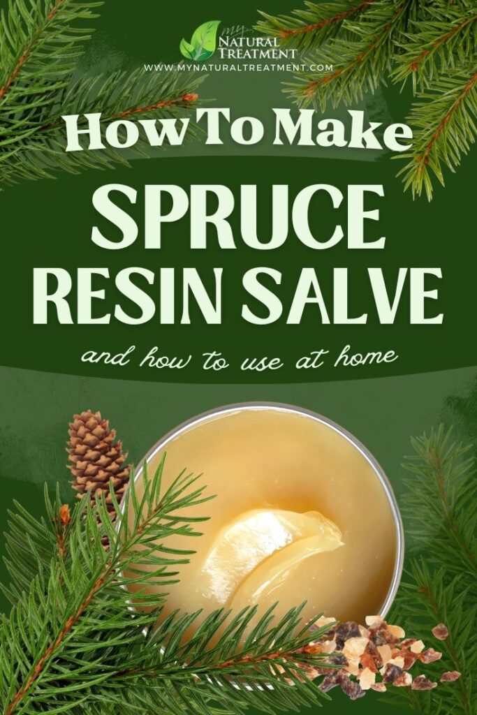 Spruce Resin Salve Recipe and How to Use - MyNaturalTreatment.com - MyNaturalTreatment.com