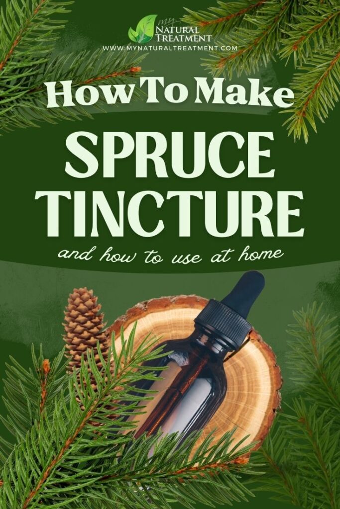 Spruce Tincture Recipe and How to Use - MyNaturalTreatment.com - MyNaturalTreatment.com