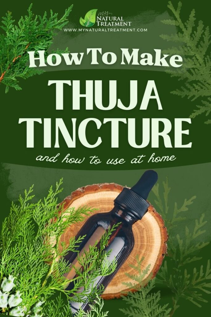 Thuja Tincture Recipe and How to Use at Home - MyNaturalTreatment.com - MyNaturalTreatment.com