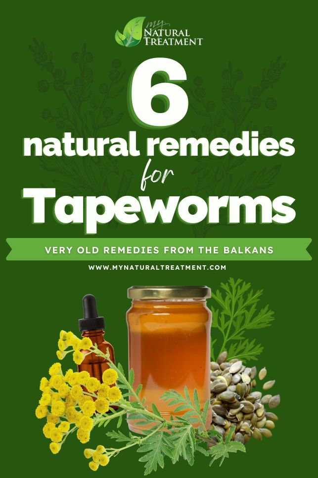 6 Best Remedies for Tapeworm - MyNaturalTreatment.com