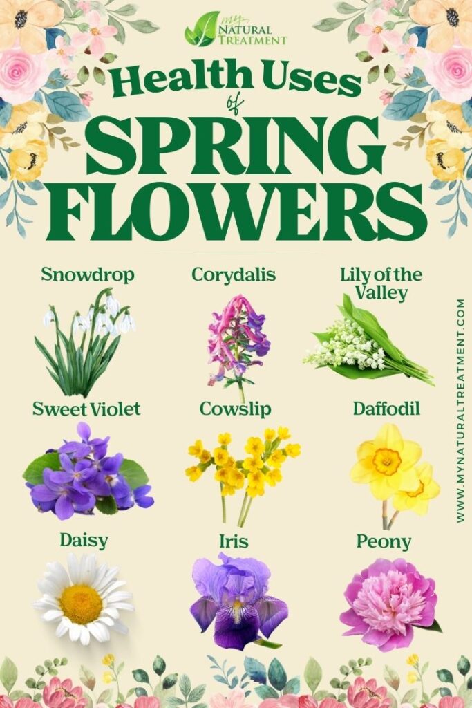 Health Uses of Spring Flowers - MyNaturalTreatment.com