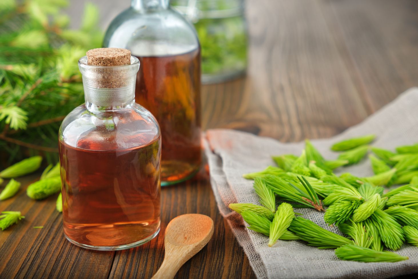 How to Make Fir Buds Syrup - 7 Amazing Health Benefits