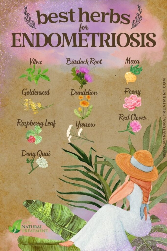 10 Absolute Best Herbs for Endometriosis - MyNaturalTreatment.com