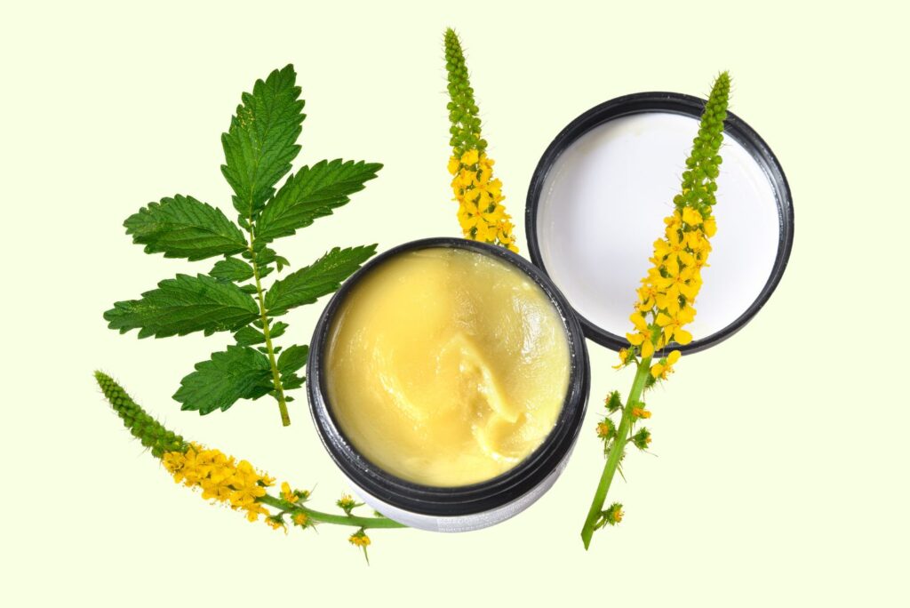 Common Agrimony Salve Recipe - Herbal Salve Recipes and How to Make Them at Home - NaturalTreatment.com