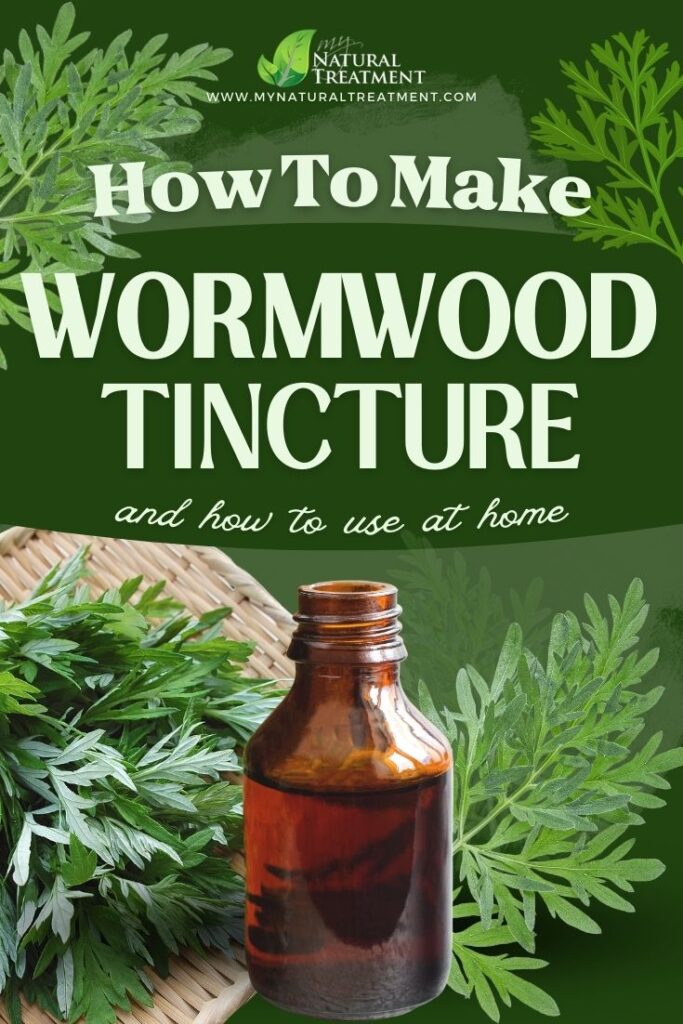 How to Make Wormwood Tincture - Wormwood Tincture Uses  - NaturalTreatment.com