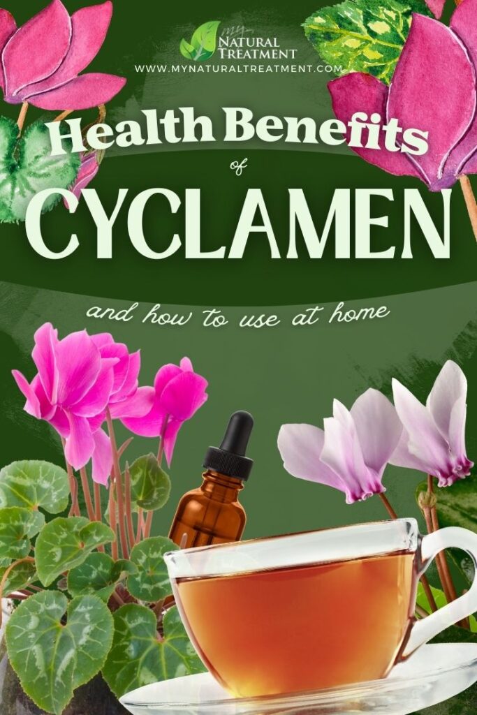 Health Uses of Cyclamen - Cyclamen Uses - Health Benefits of Cyclamen - Cyclamen Remedies - Cyclamen Uses - Snake Plant Uses - Snake Plant Benefits - NaturalTreatment.com