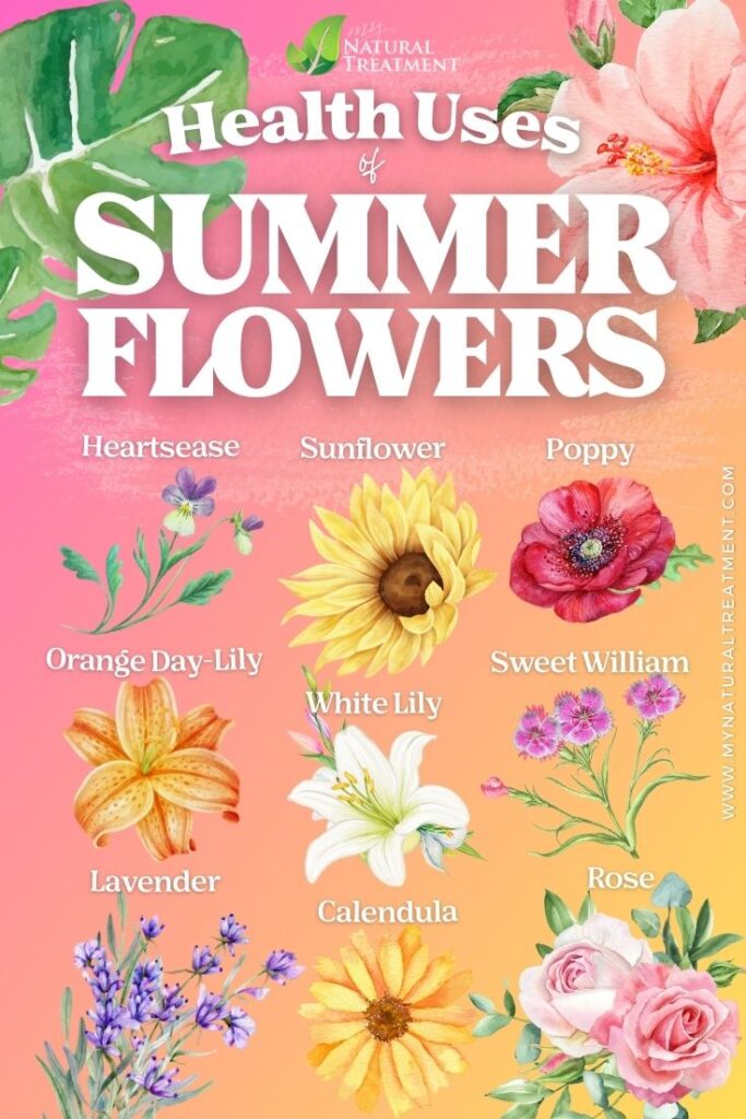 Health Uses of Summer Flowers - MyNaturalTreatment.com