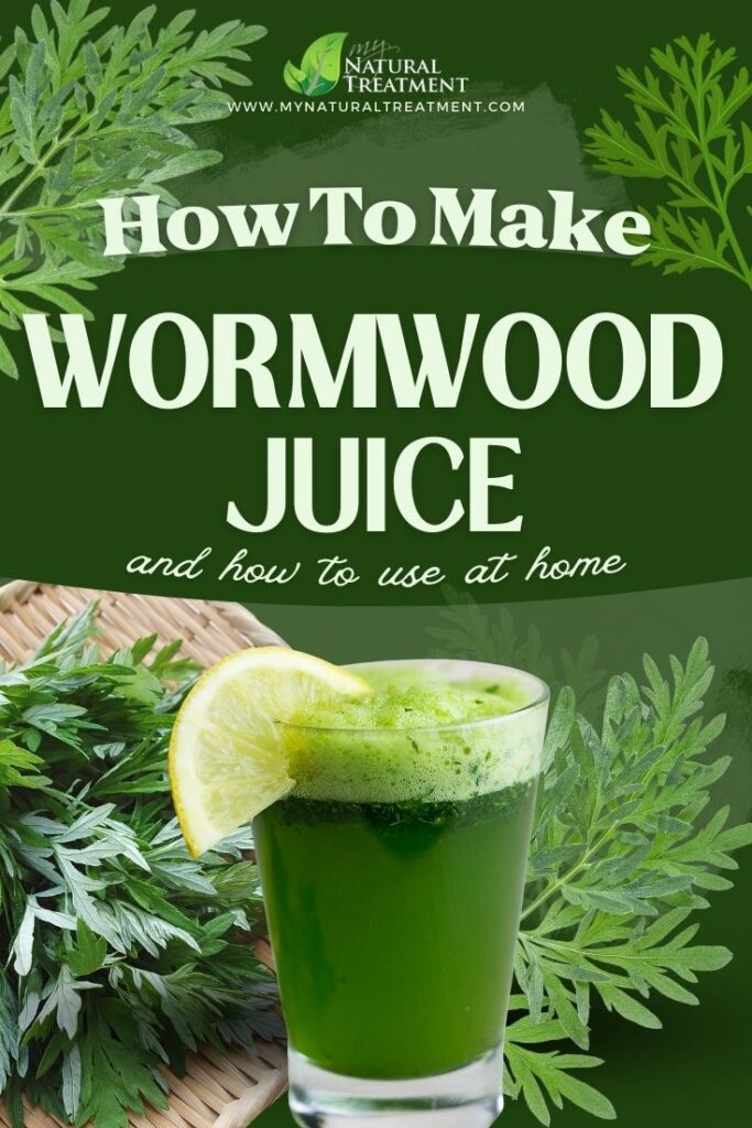 How to Make Wormwood Juice & Use as Medicine - Wormwood Juice Uses  - NaturalTreatment.com