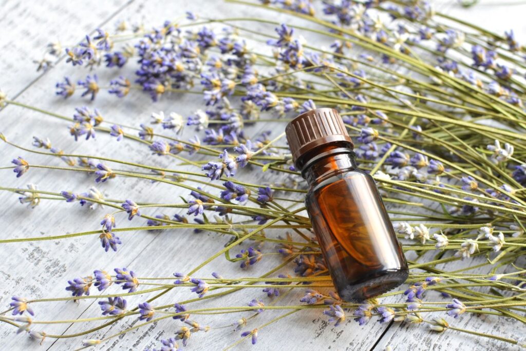 Lavender Uses - Health Uses of Lavender with Remedies - NaturalTreatment.com