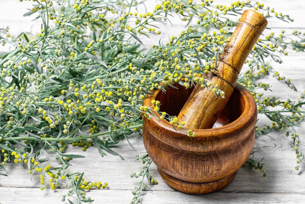Wormwood Syrup Uses - Health Uses of Wormwood & How to Use at Home - NaturalTreatment.com