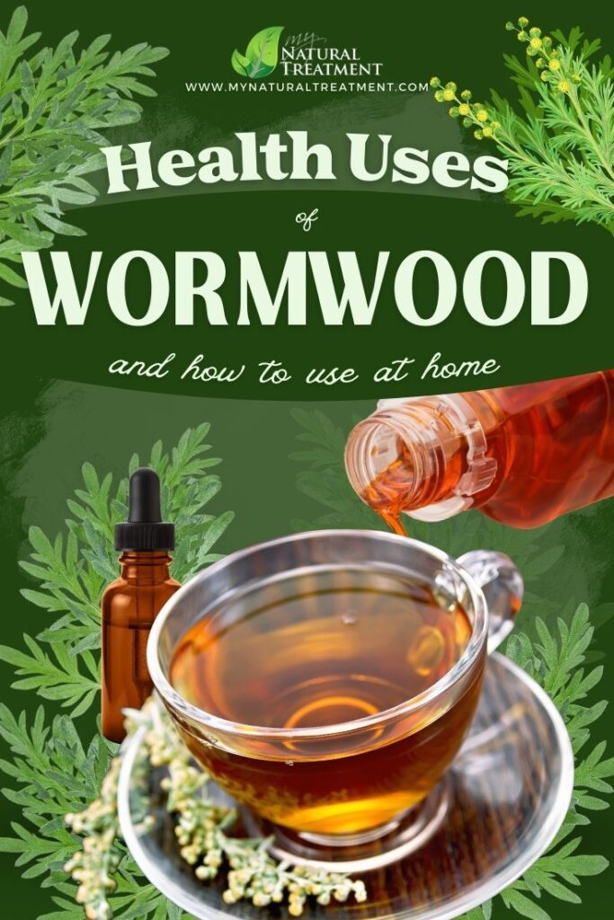 Wormwood Uses - Wormwood Benefits - Health Uses of Wormwood & How to Use at Home  - NaturalTreatment.com