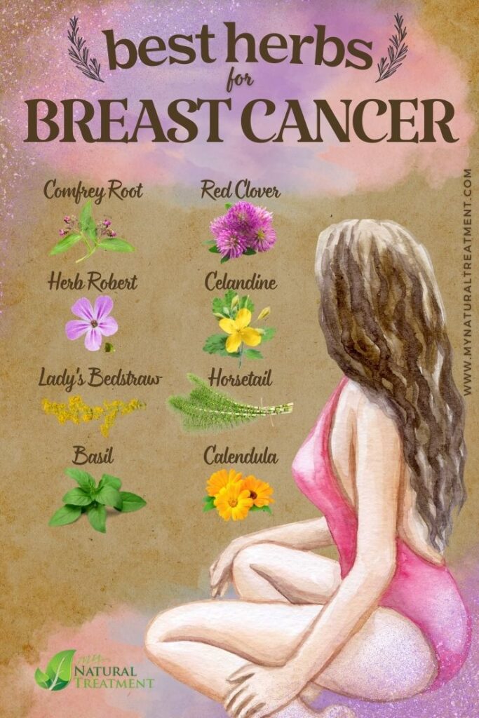8 Absolute Best Herbs for Breast Cancer - Best Breast Cancer Herbs - MyNaturalTreatment.com